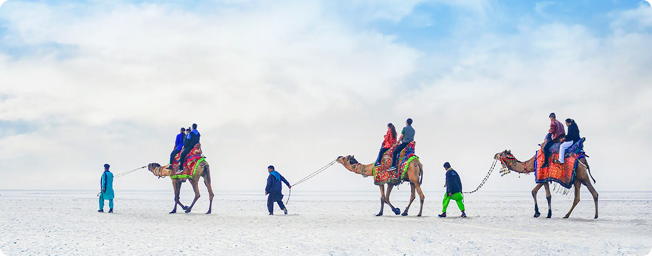 group-people-camels-desert 1