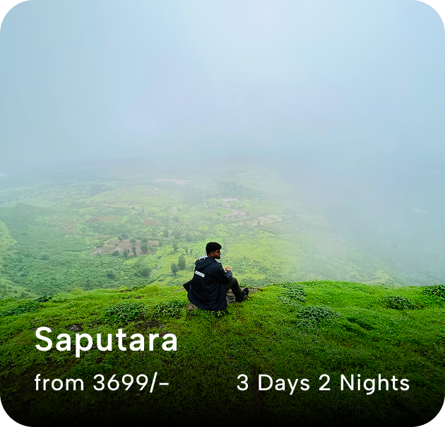 Saputara