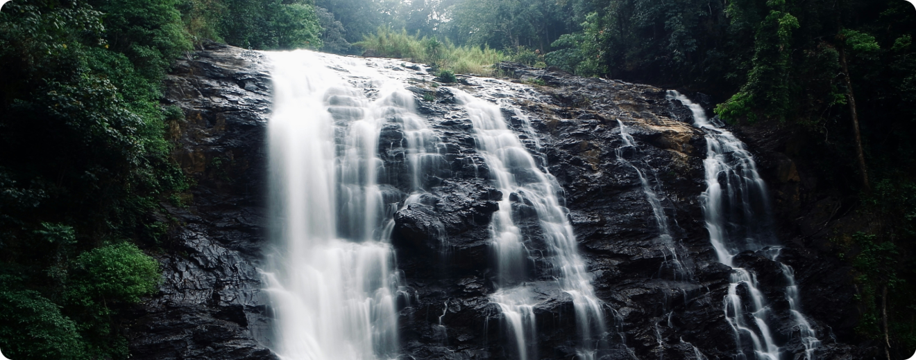 coorg