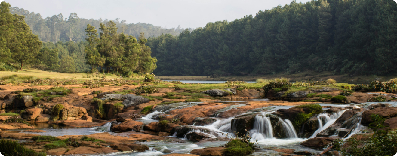 ooty